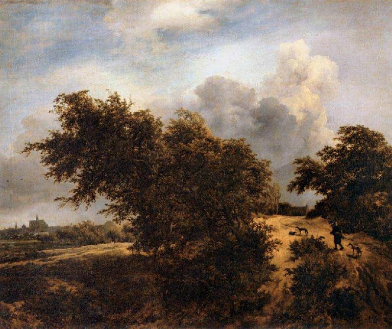RUISDAEL, Jacob Isaackszon van The Thicket oil painting picture